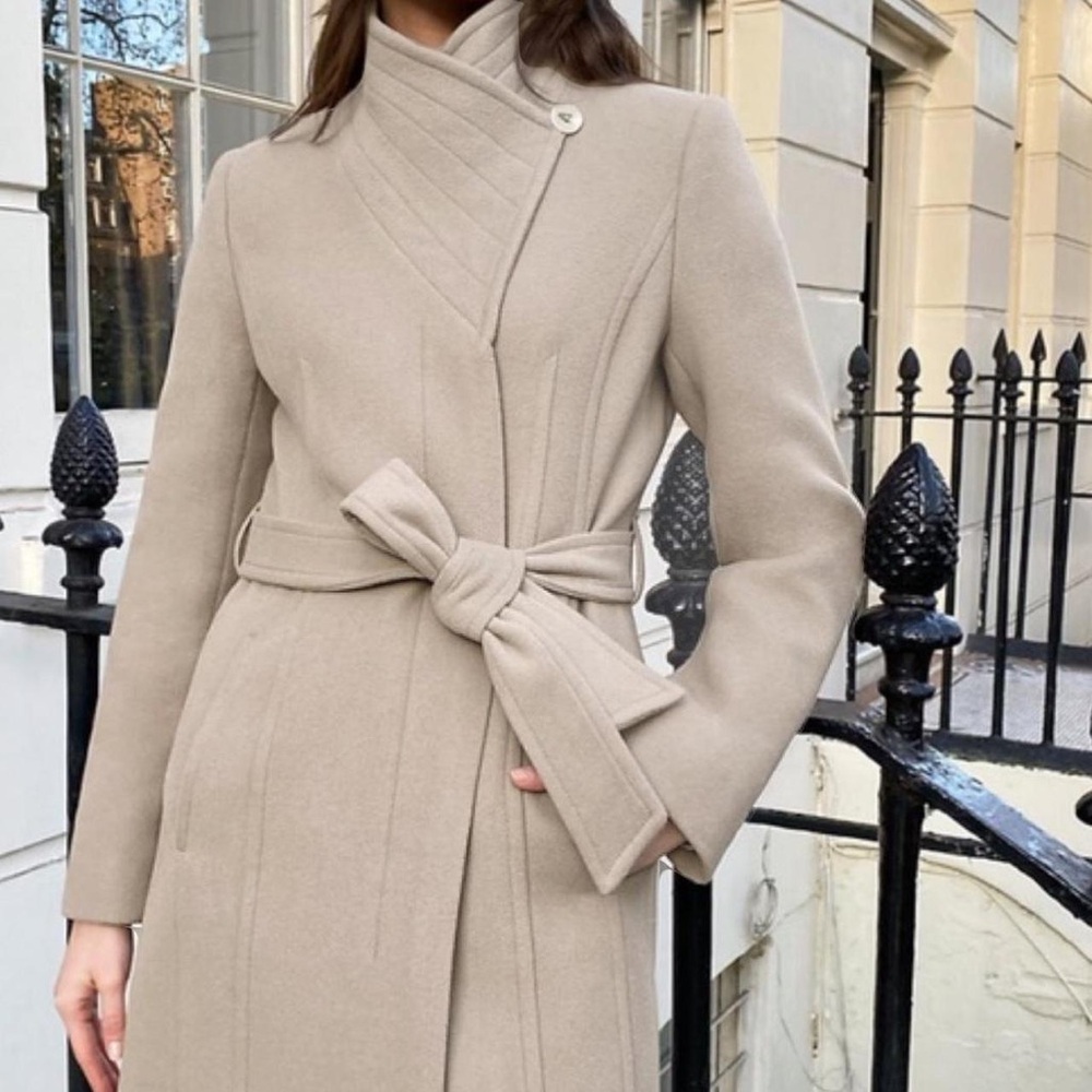 Aritzia babaton connor coat